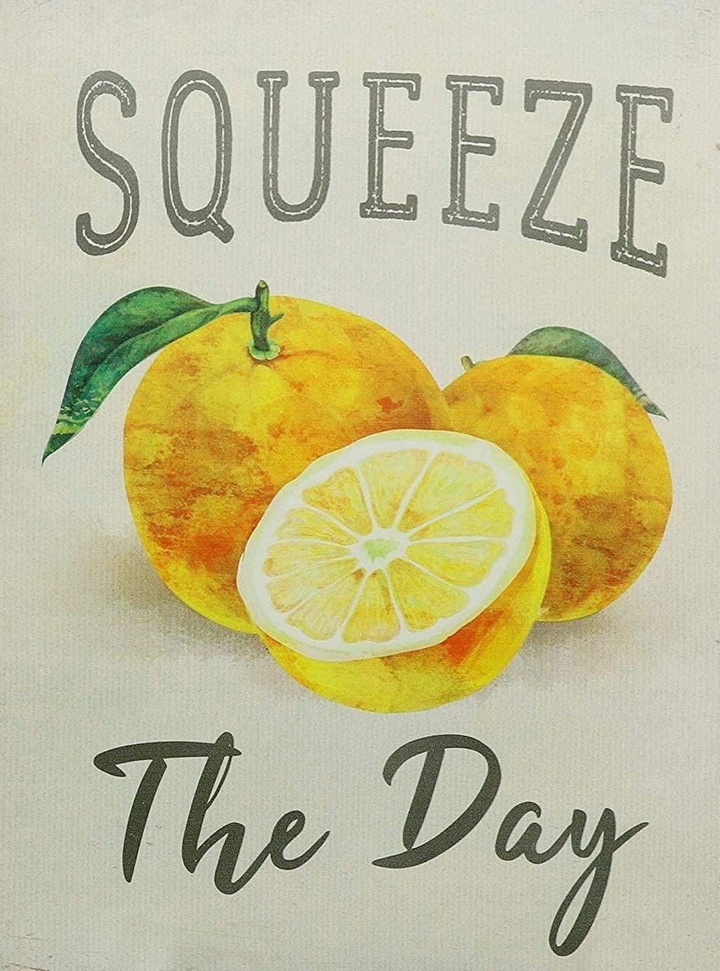 Starotore Squeeze The Day Vint - Home Bar And Coffee recension och pris